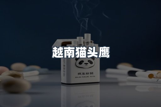越南猫头鹰